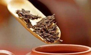 您的茶存“廢”了嗎？存茶方法與技巧，把香留??！